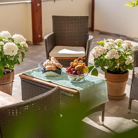 Domo Papiros 시니스콜라