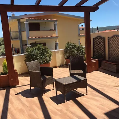 Domo Papiros * 시니스콜라