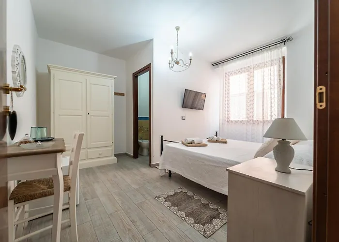 Domo Papiros * سينيسكولا