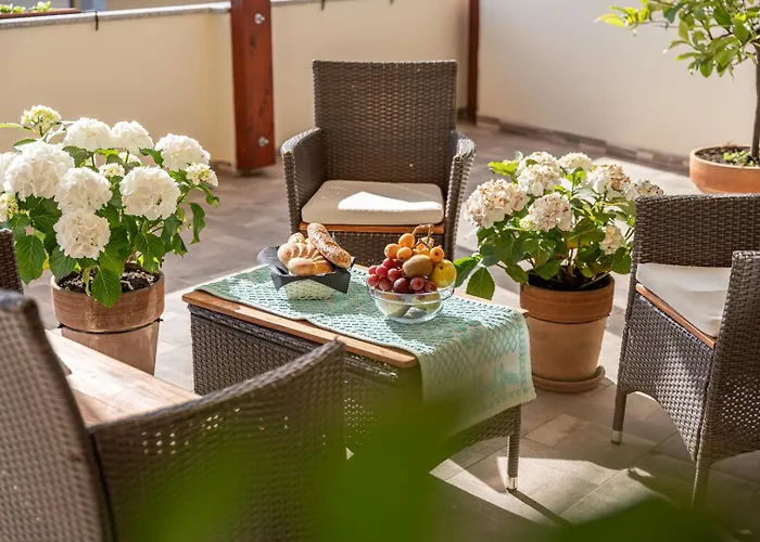 Domo Papiros سينيسكولا